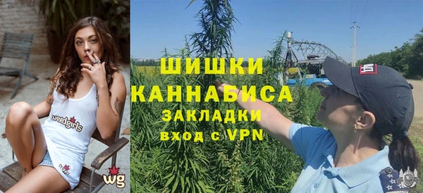 молекула духа Алексин