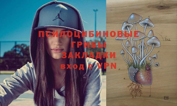 молекула духа Алексин