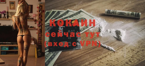 ПСИЛОЦИБИНОВЫЕ ГРИБЫ Алексеевка